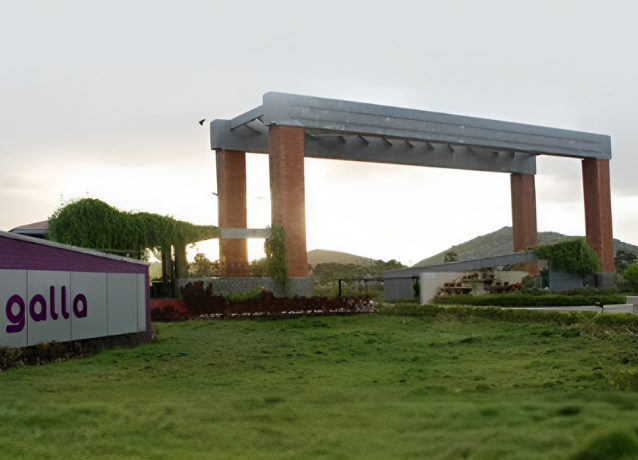Galla Foods, the food processing business was launched to benefit the local farming community